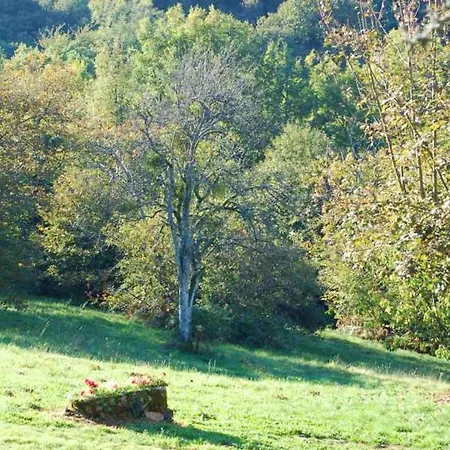 Сasa de vacaciones Holiday Prat Nalby Najac